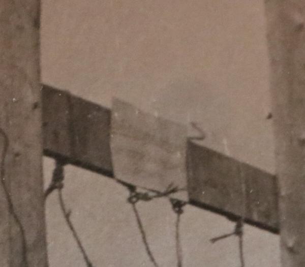 altes Foto - erhängter Partisan ? Russland ?